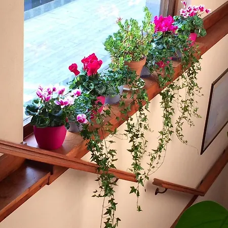 菲奥瑞达里索il住宿加早餐旅馆